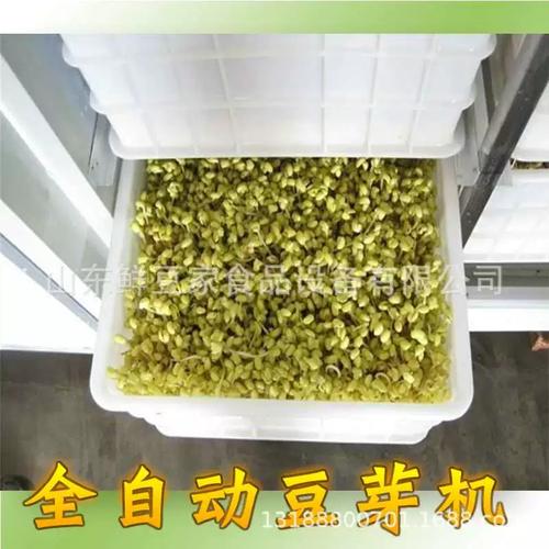 小型全自动豆芽机选购指南 绿豆芽与黄豆芽设备解析
